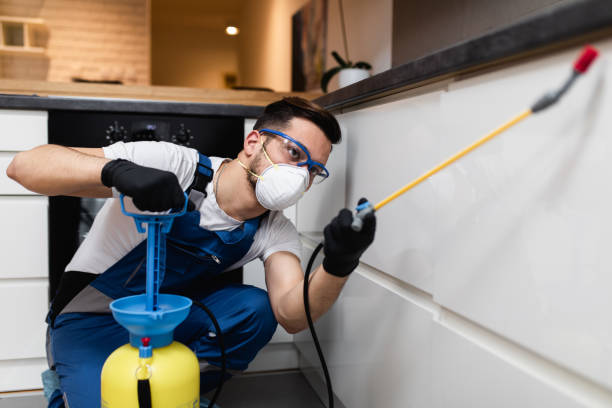 Reliable Humboldt Hill, CA Pest Control Solutions