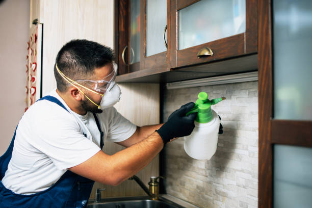 Best Pest Control Near Me in Humboldt Hill, CA