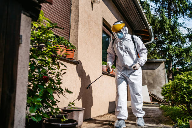 Best Exterminator Services  in Humboldt Hill, CA
