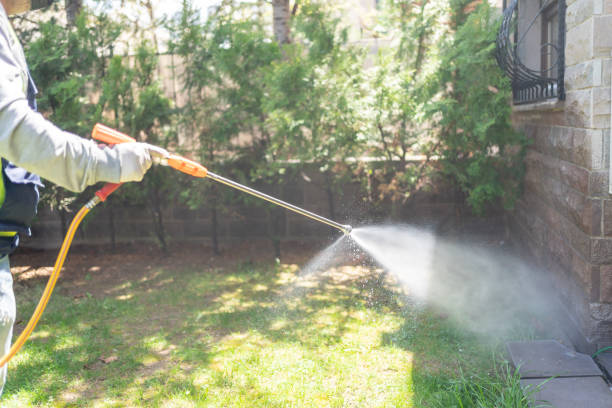 Best Local Pest Control Services  in Humboldt Hill, CA