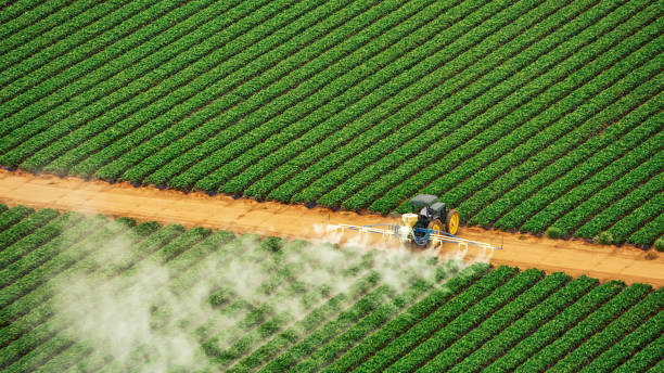 Best Termite Control Services  in Humboldt Hill, CA